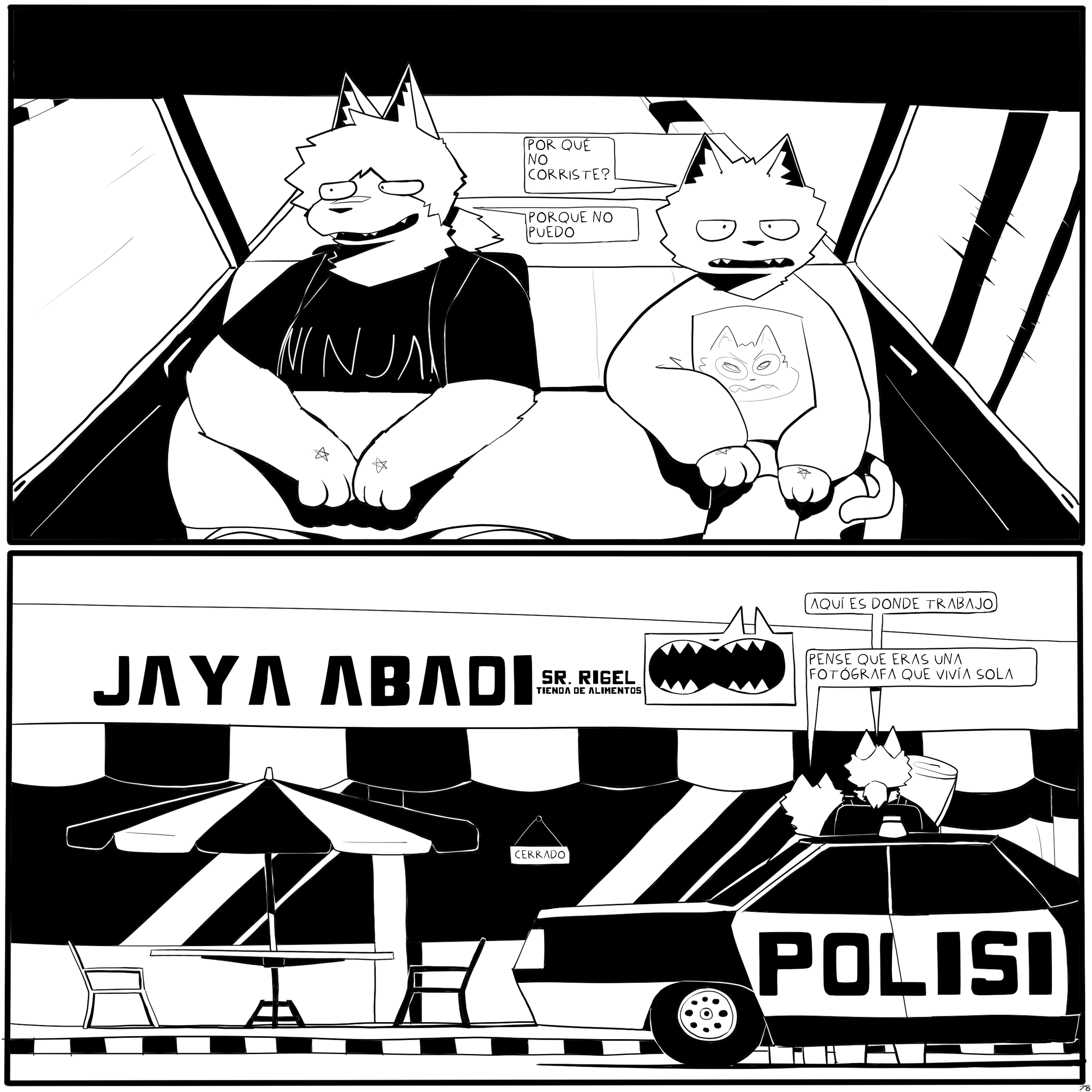 Página 11